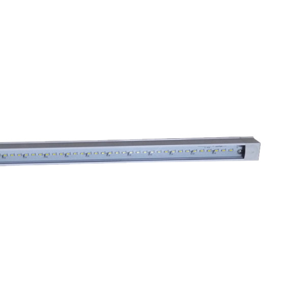 Linear Light